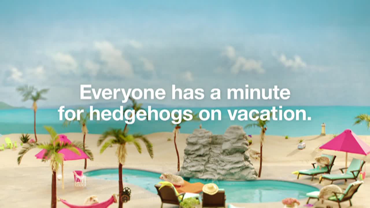 Risk Test Hedgehogs National